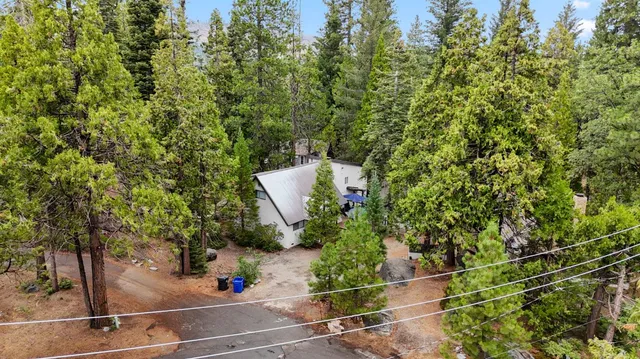 a view of a yard and trees