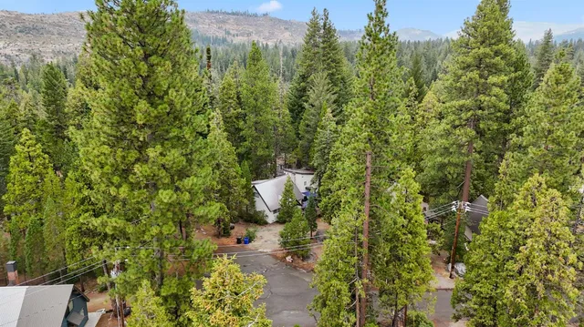 a view of a city with lush green forest