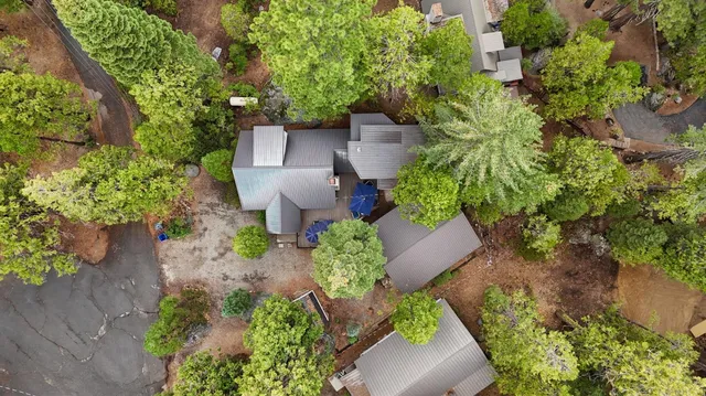 an outdoor space with plants