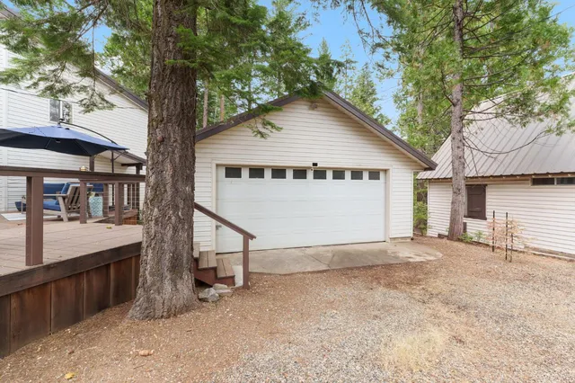 a view of backyard with a large tree and wooden fence