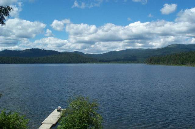 Xxx Bridge Creek Road Inchelium, WA 99138 - Photo 1 of 8 Gallery Image 1