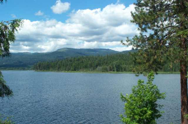 Xxx Bridge Creek Road Inchelium, WA 99138 - Photo 7 of 8 Gallery Image 7