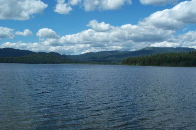 Xxx Bridge Creek Road Inchelium, WA 99138 - Photo 8 of 8 Gallery Image 8