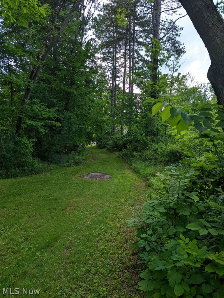 467 Center Road Hinckley, OH 44233 - Photo 16 of 20 summer photo showing trees