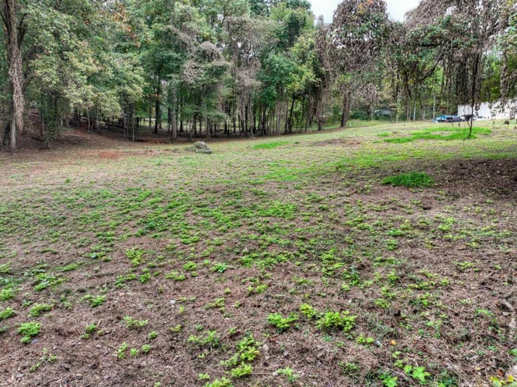 2 Davis Road Blue Ridge, GA 30513 - Photo 16 of 19 Gallery Image 16