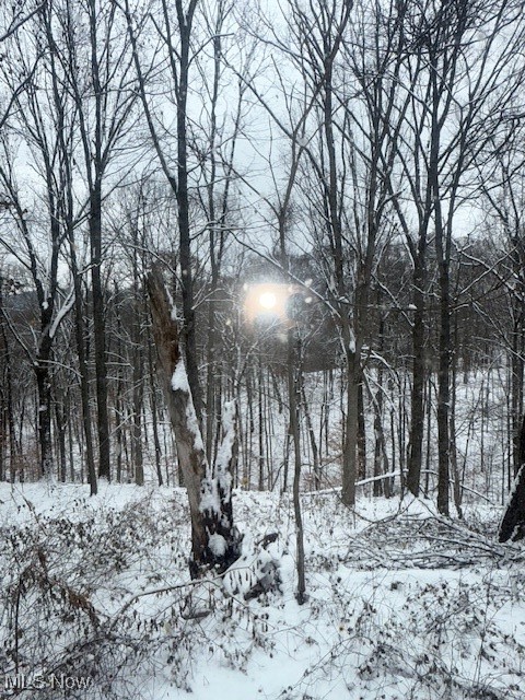 15639 Grove Road Southwest Port Washington, OH 43837 - Photo 11 of 31 Snowy landscape featuring a view of trees