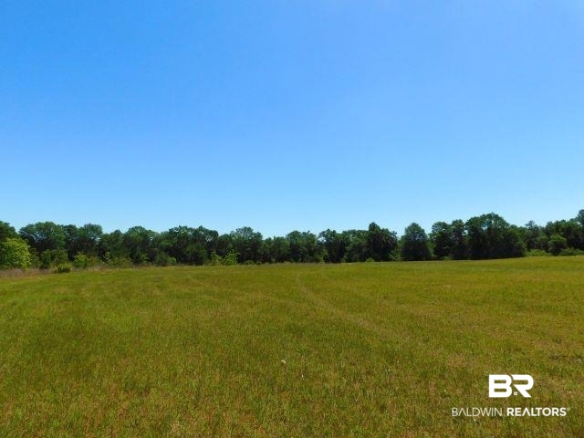 5884 A Saroadine Road Brewton, AL 36426 - Photo 11 of 16