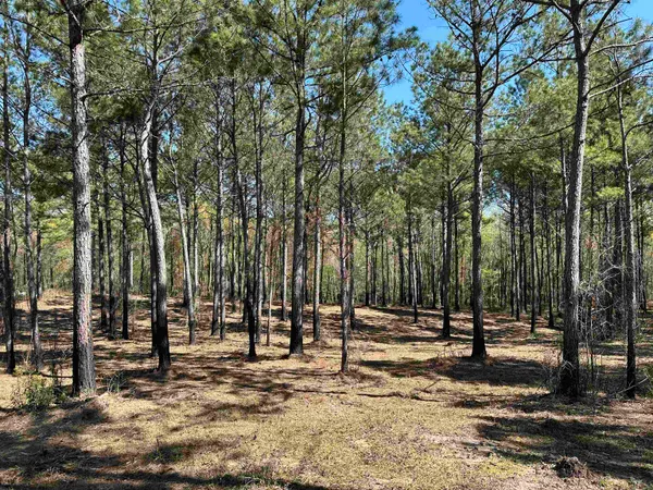 $55,000 | Lot 6-tbd Lot 6-tbd Old Camp Lane, Salters, SC 29590