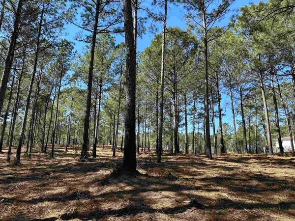$55,000 | Lot 6-tbd Lot 6-tbd Old Camp Lane, Salters, SC 29590