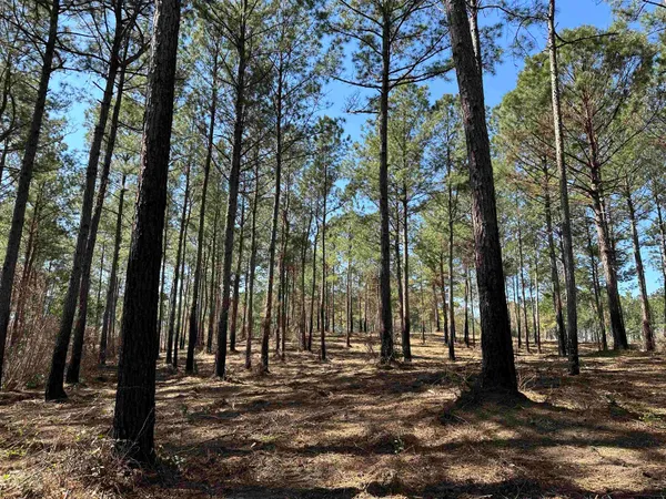 $55,000 | Lot 6-tbd Lot 6-tbd Old Camp Lane, Salters, SC 29590