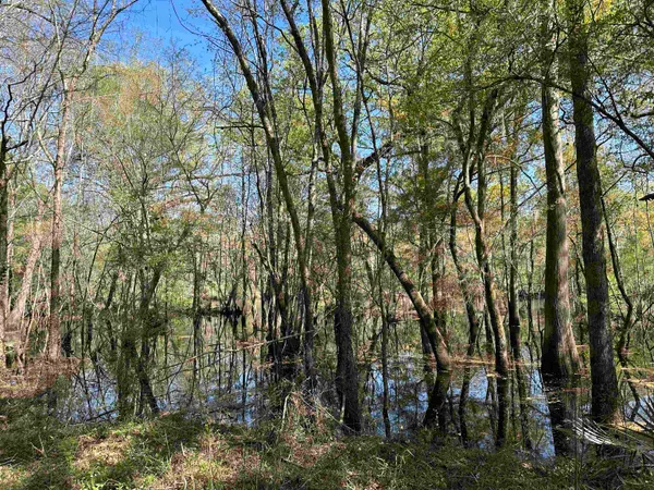 $55,000 | Lot 6-tbd Lot 6-tbd Old Camp Lane, Salters, SC 29590