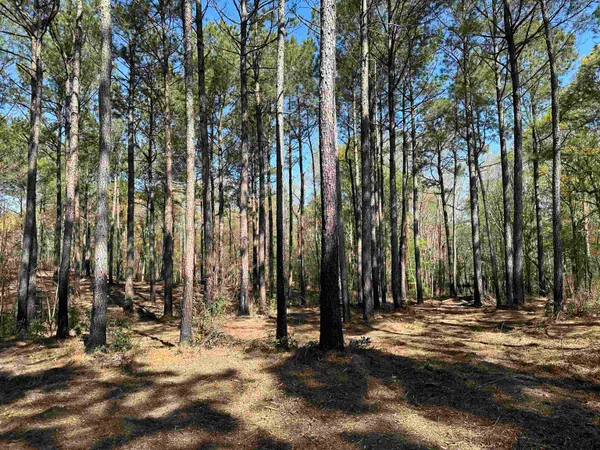 $55,000 | Lot 6-tbd Lot 6-tbd Old Camp Lane, Salters, SC 29590