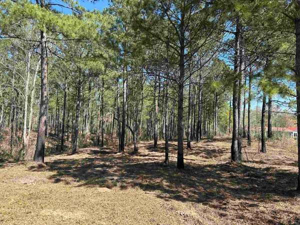 $55,000 | Lot 6-tbd Lot 6-tbd Old Camp Lane, Salters, SC 29590