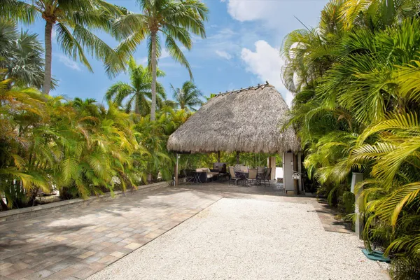 a view of a garden with a bench and trees