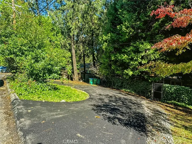 a view of a park with plants and trees