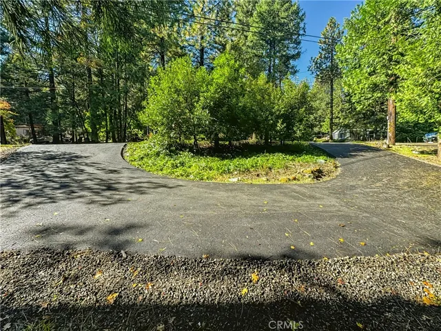 a view of a garden with trees