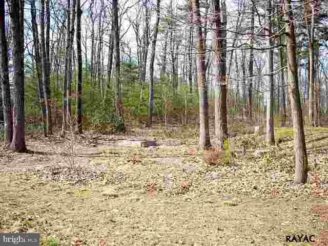 557 Rocky Ridge Road Spring Grove, PA 17362 - Photo 20 of 22