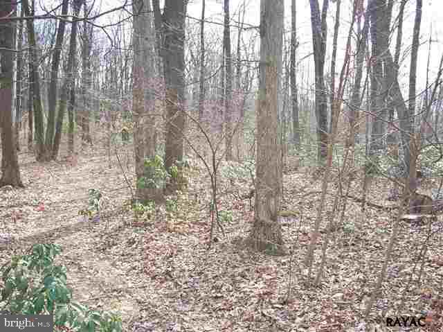 557 Rocky Ridge Road Spring Grove, PA 17362 - Photo 21 of 22