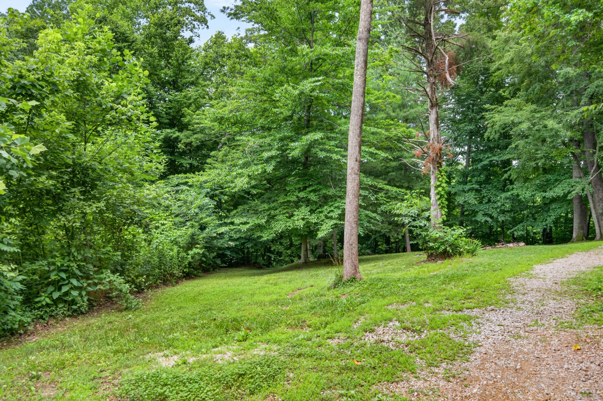 57 Steve Rich Road Red Boiling Springs, TN 37150 - Photo 34 of 42