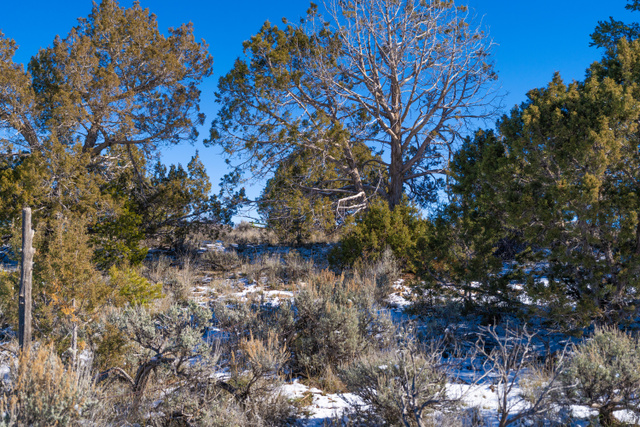 412 South Eastland Road Monticello, UT 84535 - Photo 12 of 14 Snowy view