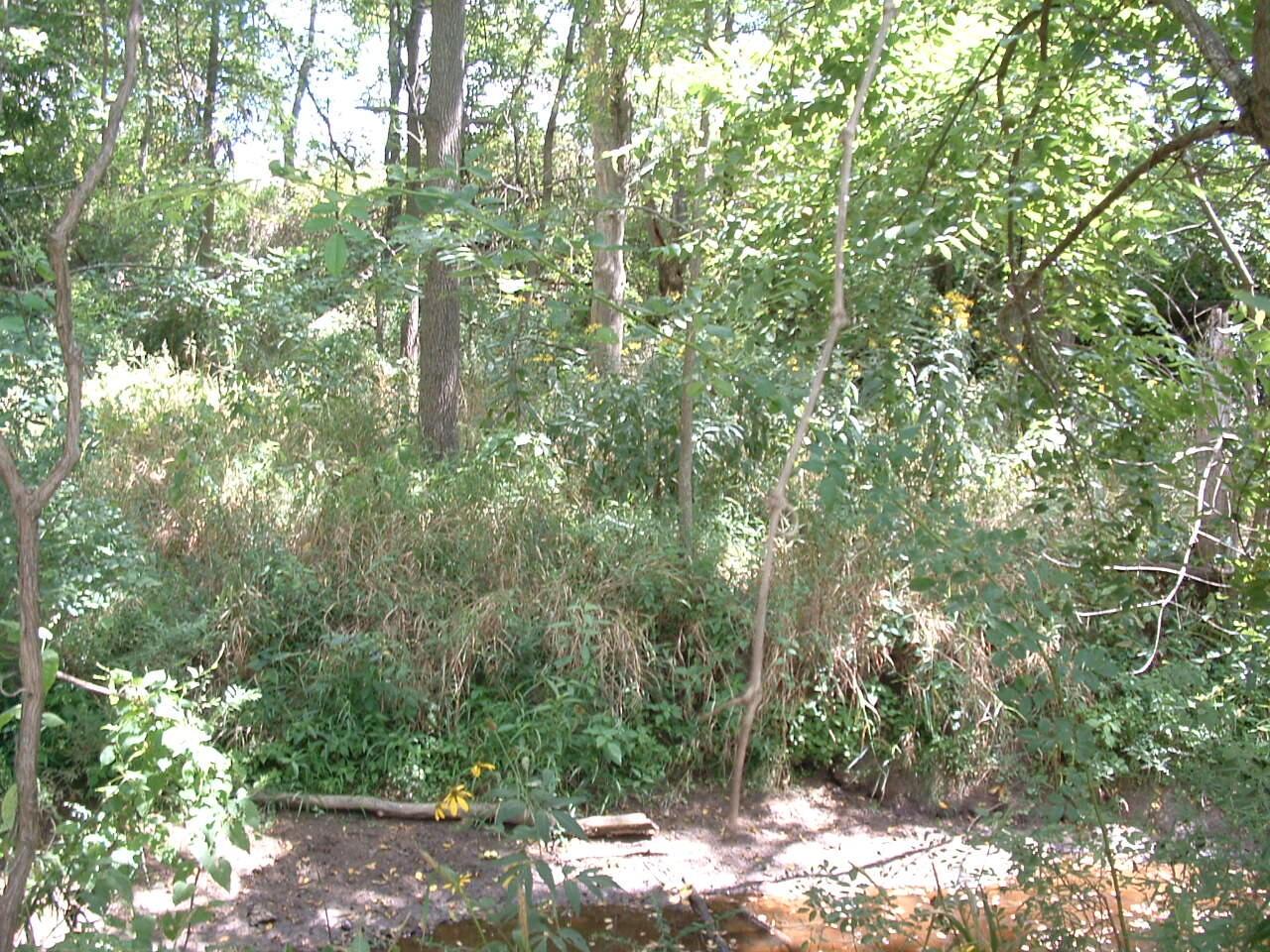 11950 Crouse-Willison Road Croton, OH 43013 - Photo 44 of 45 DSCF0081