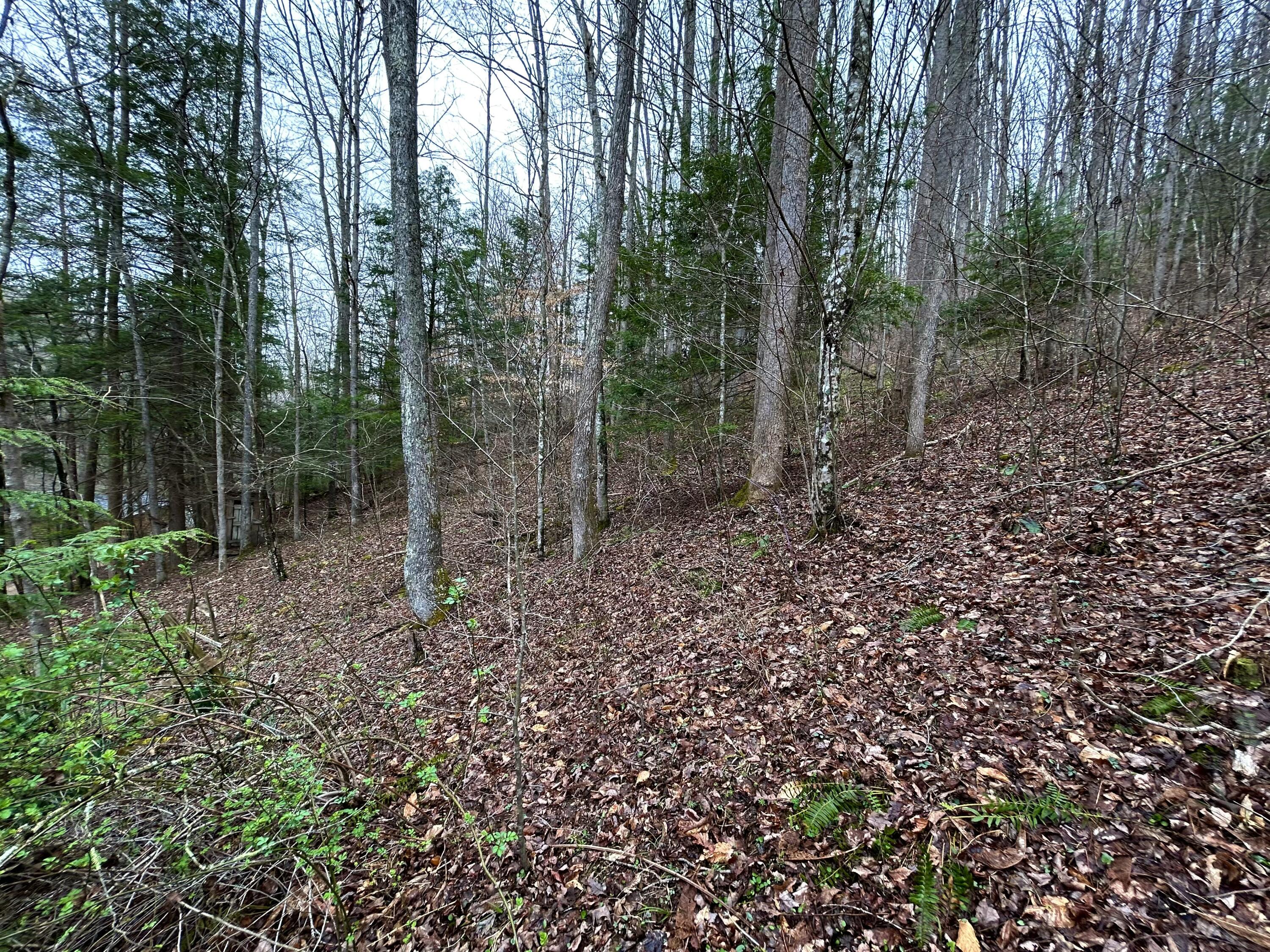9999 Raccoon Creek Road McKee, KY 40447 - Photo 13 of 19 IMG_1008