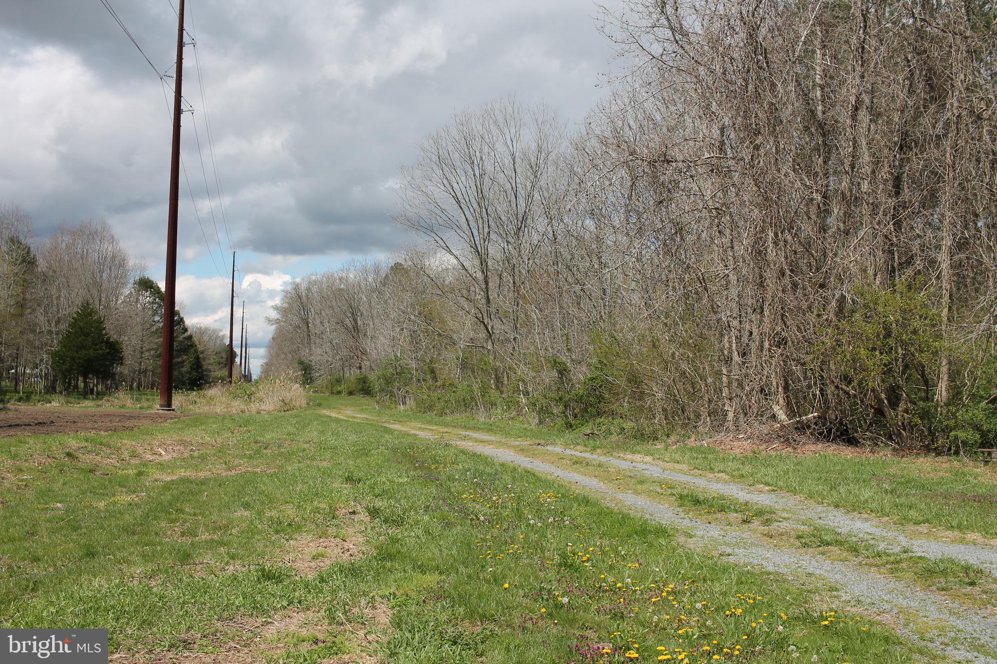 11519 Sheppards Crossing Road Whaleyville, MD 21872 - Photo 1 of 20 Gallery Image 1