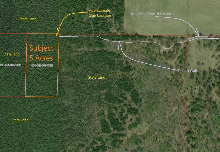 5-ac North Everett Road Roscommon, MI 48653 - Photo 6 of 10 Everett- 4