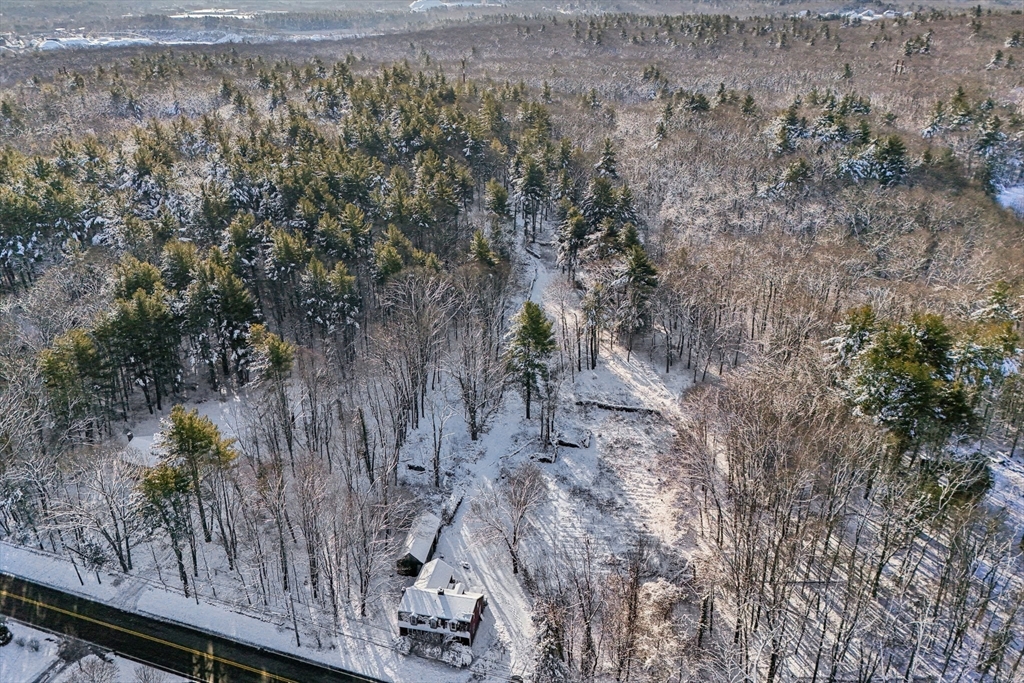 613 West Street Wrentham, MA 02093 - Photo 12 of 19 a view of a yard with large trees