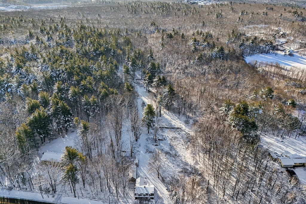 613 West Street Wrentham, MA 02093 - Photo 17 of 19 a view of a yard with plants and a bench