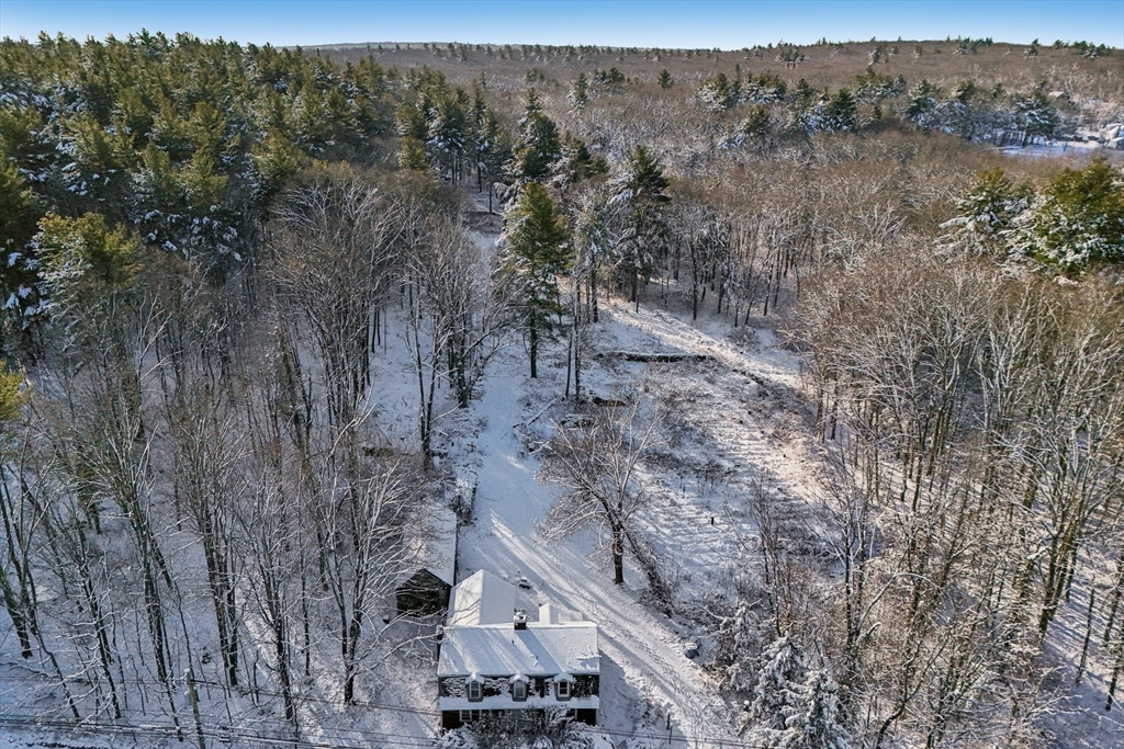 613 West Street Wrentham, MA 02093 - Photo 3 of 19 a view of a yard with a tree