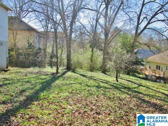 525 Handley Avenue Roanoke, AL 36274 - Photo 17 of 17