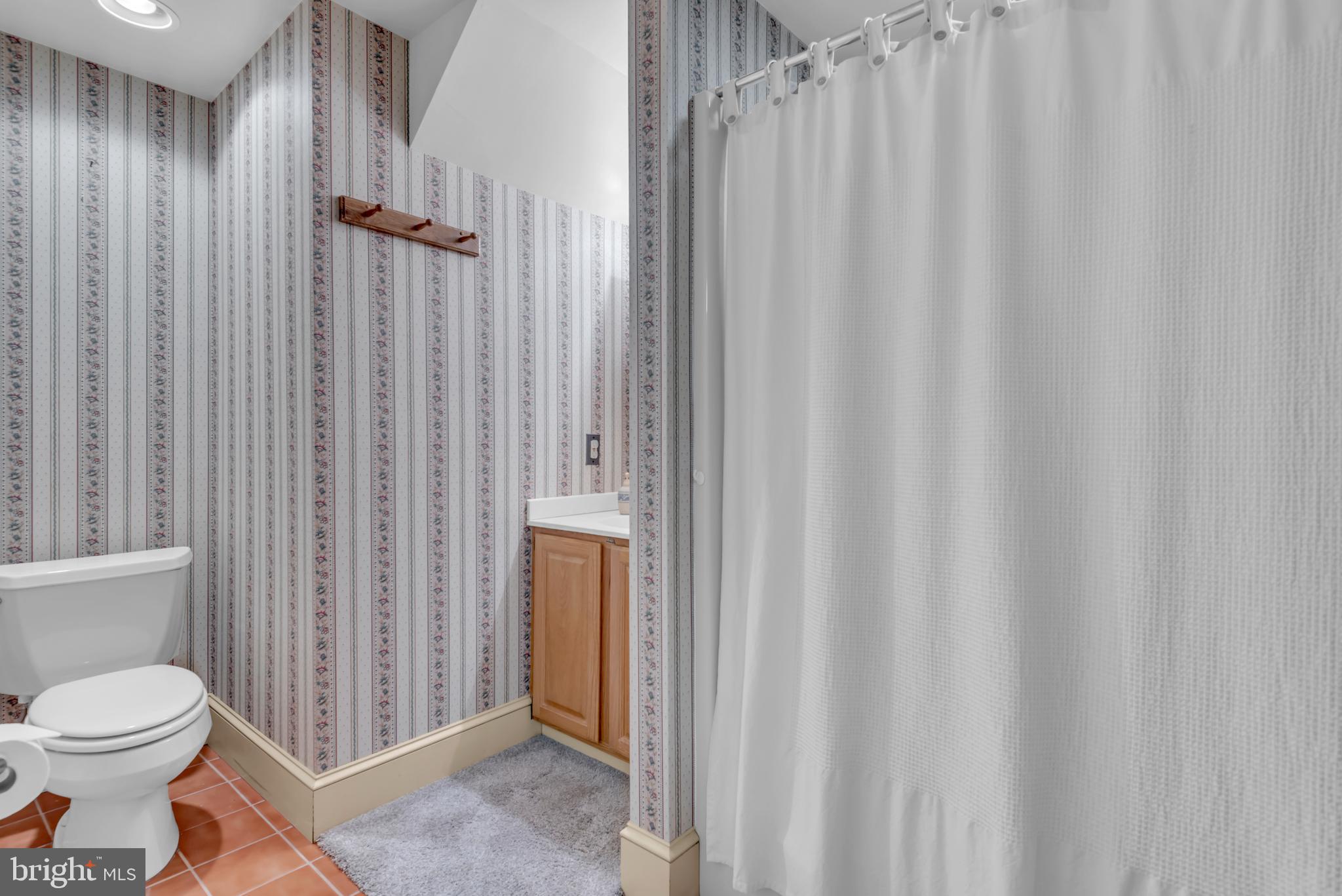 5581 Hardesty Road Sunderland, MD 20689 - Photo 64 of 65 Lower-Level Tub/Shower Combo