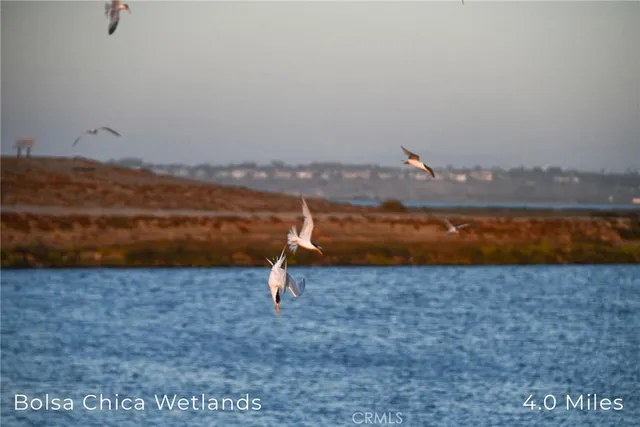 an aerial view of residential building and ocean