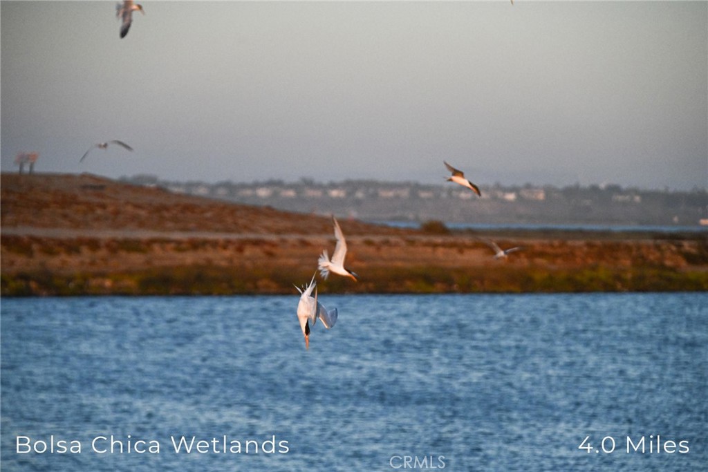414 Main Street, Unit 330 Huntington Beach, CA 92648 - Photo 31 of 42 a view of a lake