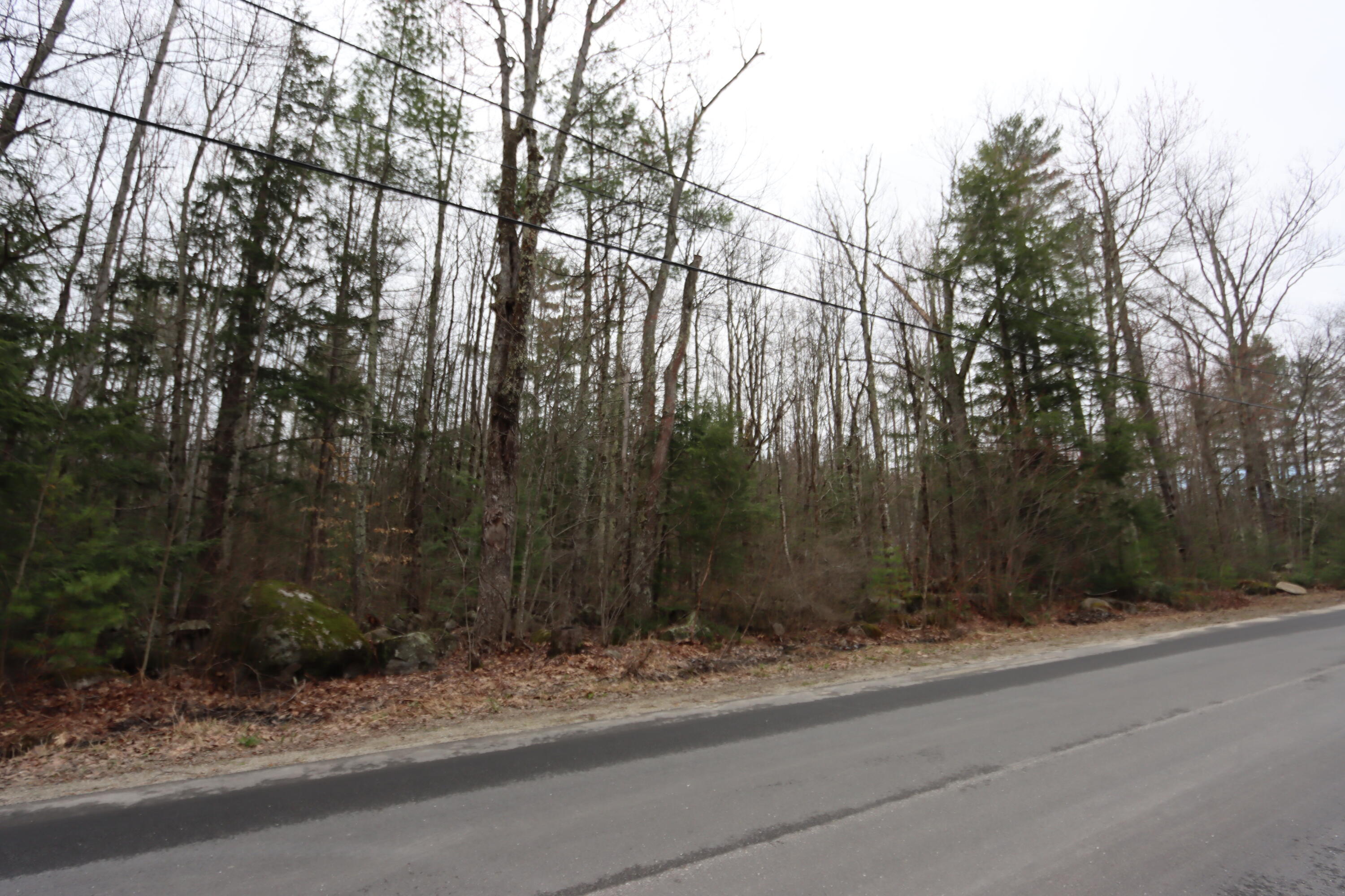 Lot 49-3 North Mountain Road Greene, ME 04236 - Photo 13 of 13 IMG_8668