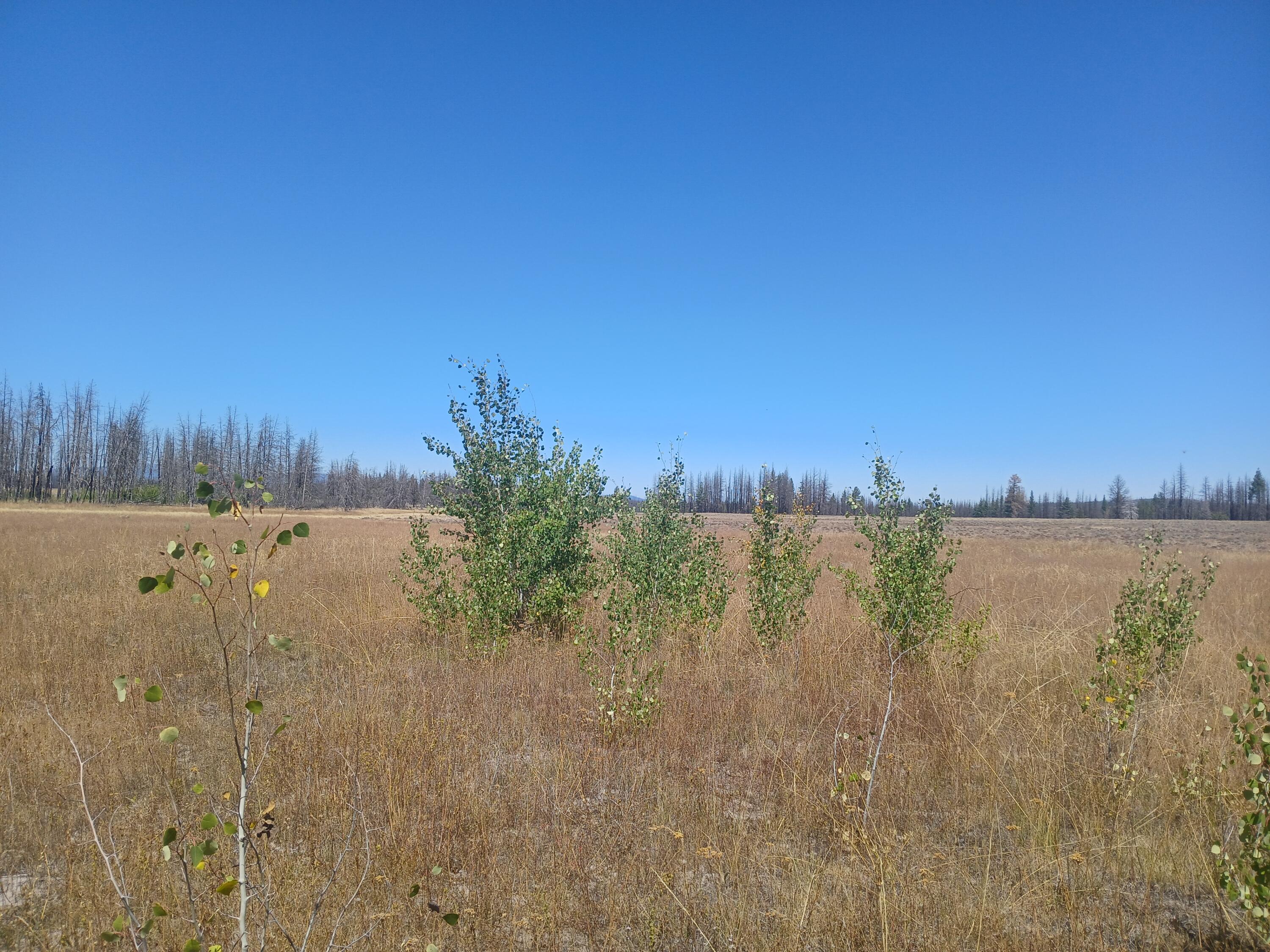 0 White Oak Lane, Unit LOT #9 Beatty, OR 97621 - Photo 9 of 15 20250822_130616