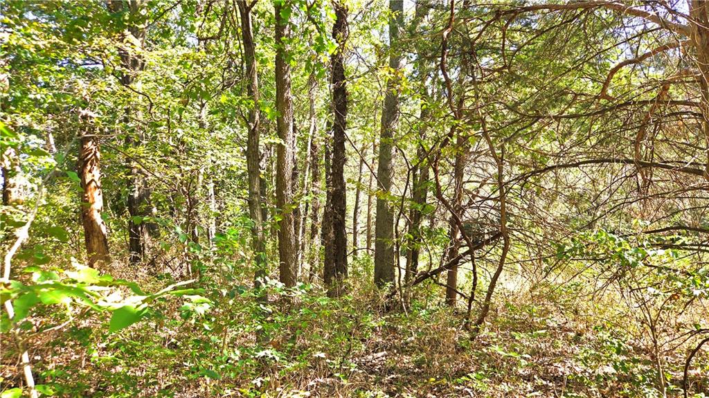 0 East 1000th Road Pleasanton, KS 66075 - Photo 11 of 21 Gallery Image 11
