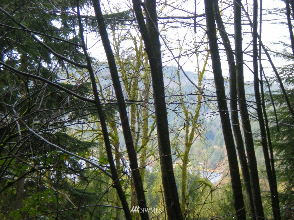 3-lot Manley Road Bellingham, WA 98229 - Photo 14 of 14 Gallery Image 14
