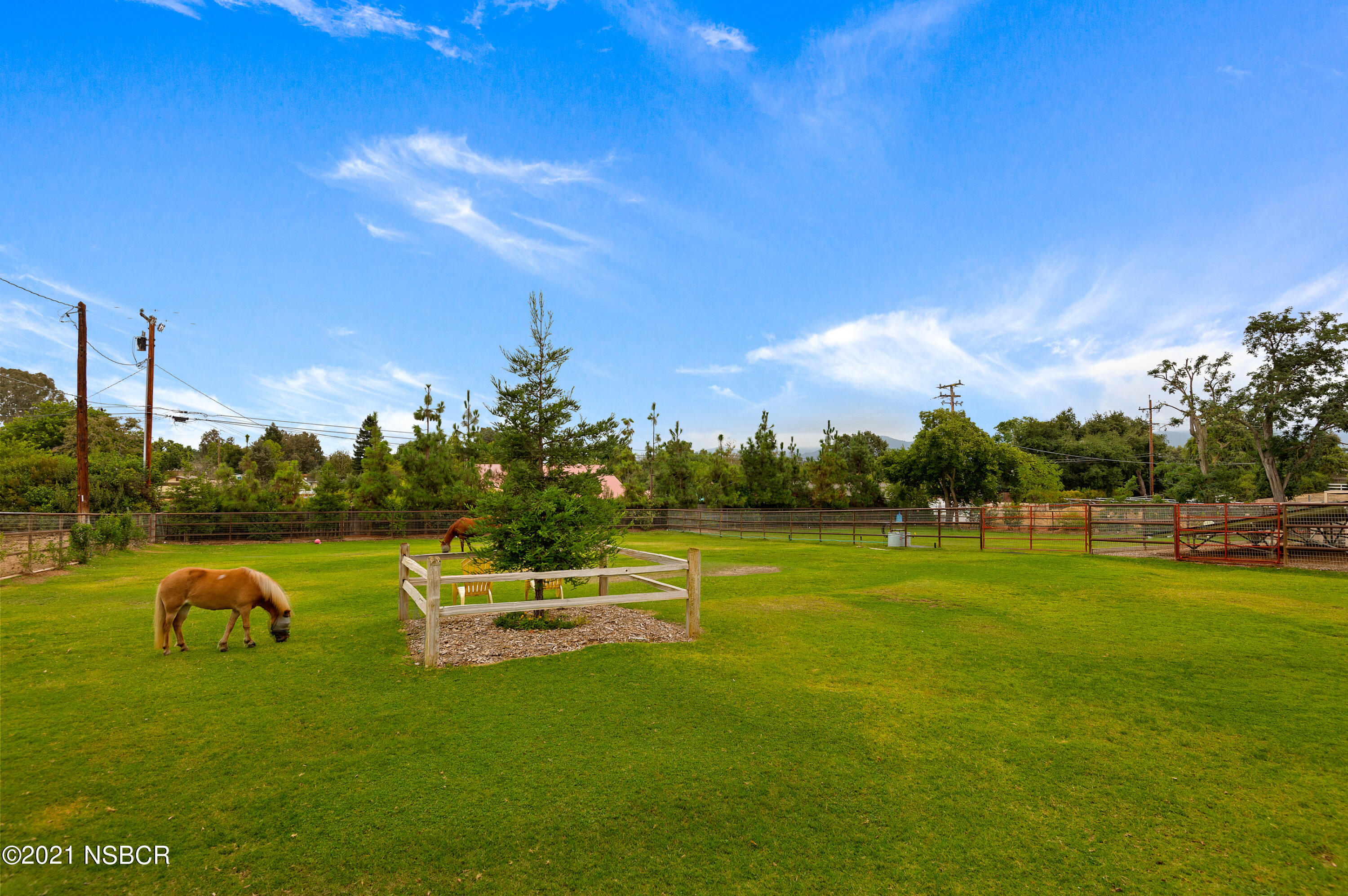 1292 Highland Road Santa Ynez, CA 93460 - Photo 27 of 28 23 - Horse Pasture
