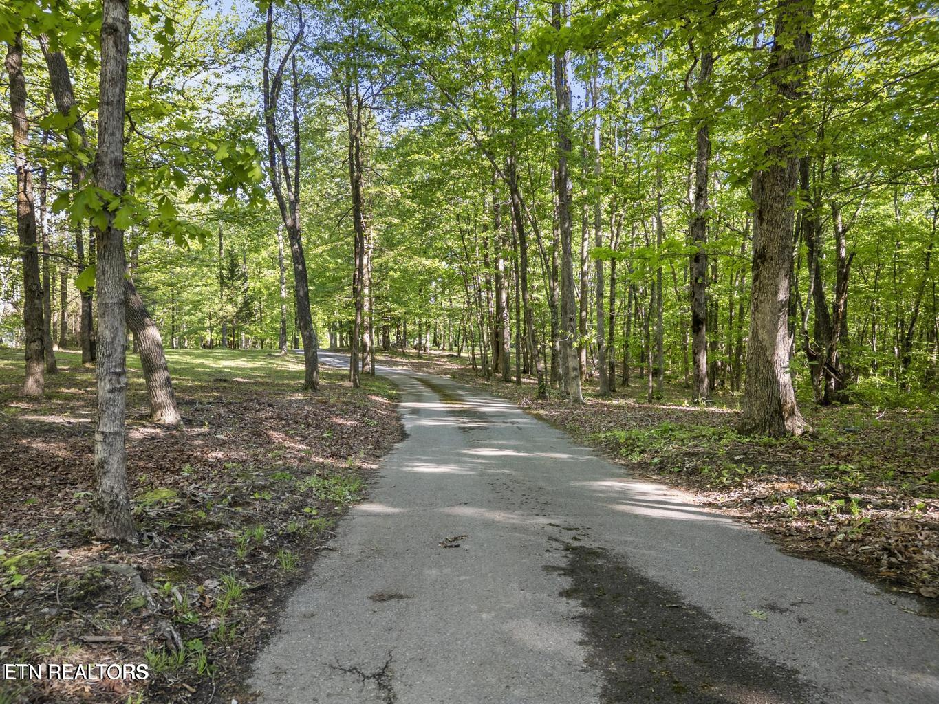 513 Cumberland Cove Road Monterey, TN 38574 - Photo 47 of 53 513 CC Rd-46
