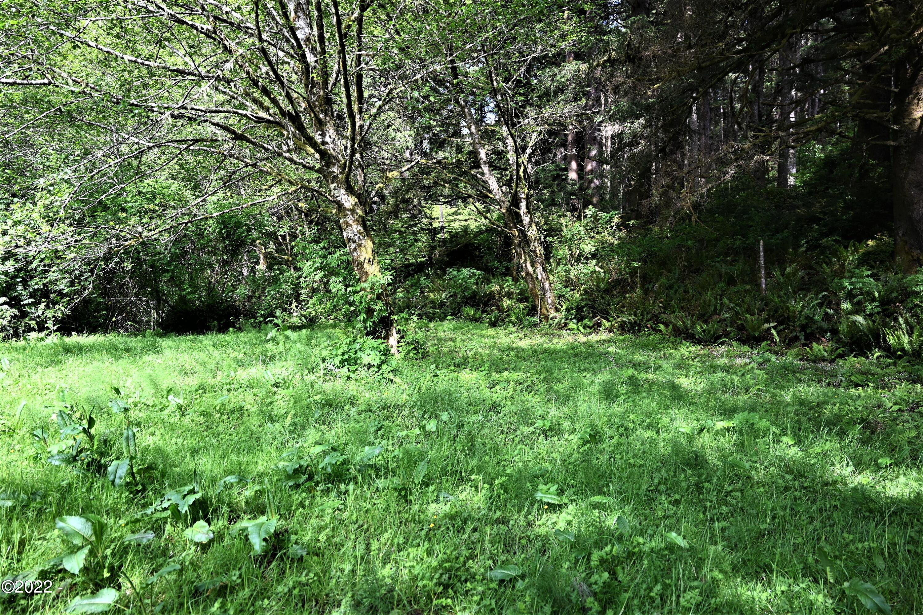 5489 South Bob Creek Road Yachats, OR 97498 - Photo 6 of 12 Yard