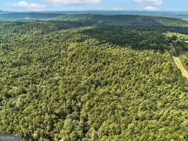 $135,000 | Tract 5 Old Ridgeway Road, Bremen, GA 30110