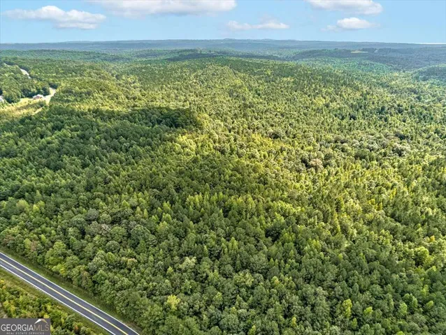 $135,000 | Tract 5 Old Ridgeway Road, Bremen, GA 30110