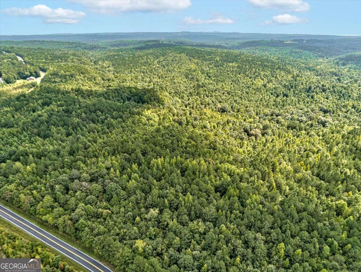 Tract 5 Old Ridgeway Road Bremen, GA 30110 - Photo 3 of 4 a view of a field