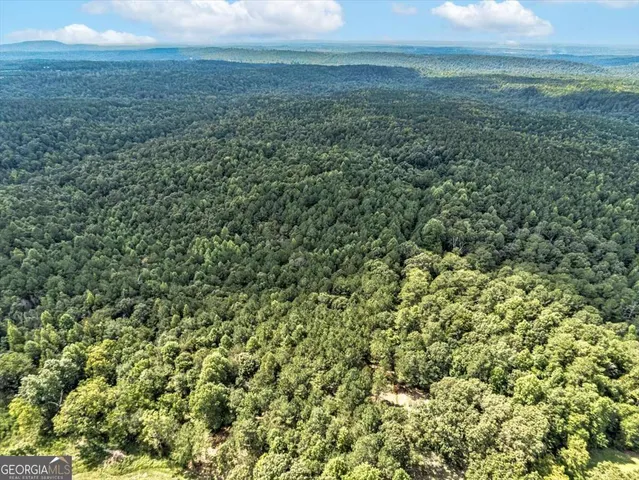 $135,000 | Tract 5 Old Ridgeway Road, Bremen, GA 30110