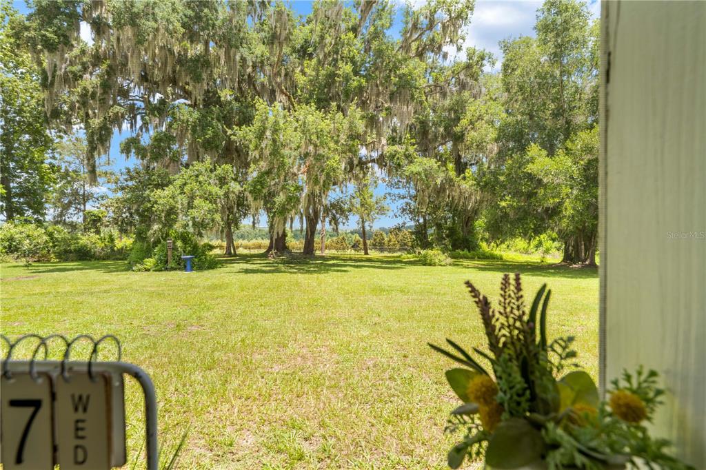 23439 Croom Road Brooksville, FL 34601 - Photo 41 of 48