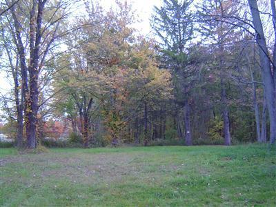 Black Lake Road Dowagiac, MI 49047 - Photo 1 of 12 Primary Photo