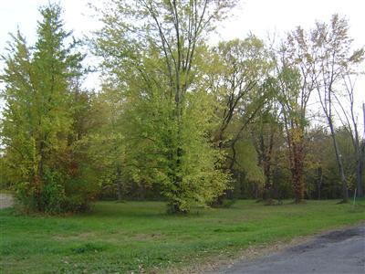 Black Lake Road Dowagiac, MI 49047 - Photo 3 of 12 Additional Photo
