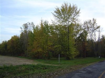Black Lake Road Dowagiac, MI 49047 - Photo 4 of 12 Additional Photo